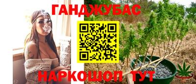 мдпв Гагарин
