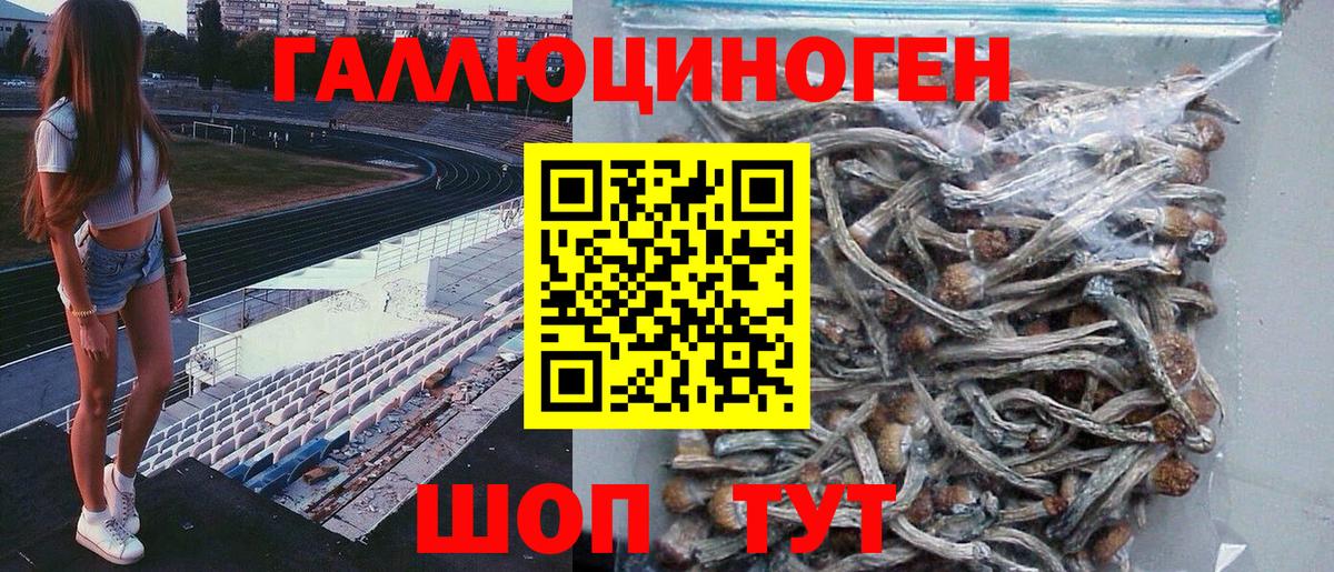 Галлюциногенные грибы мухоморы Губаха