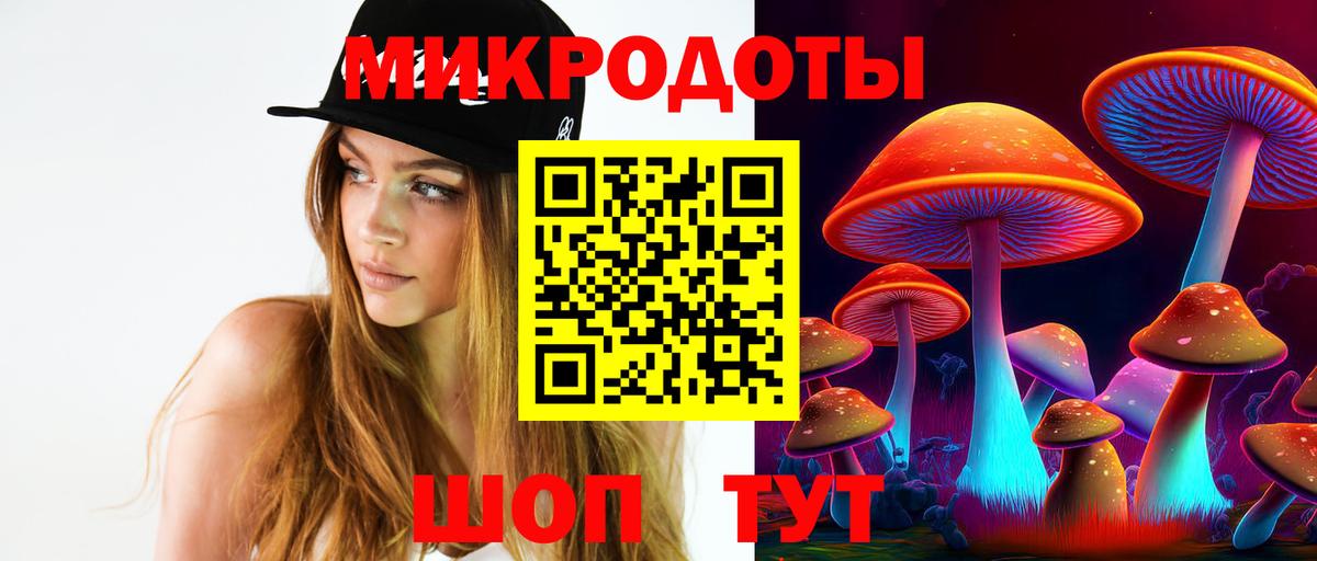 Псилоцибиновые грибы Psilocybe  Псилоцибиновые грибы мицелий  Вход с VPN  Губаха 